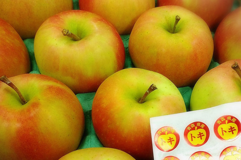 長野または青森県産　黄明（こうめい）りんご