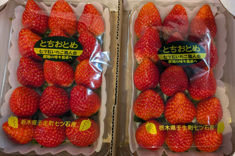 商品写真